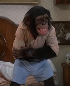 Dickie the chimp in The Attic